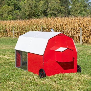 4 x 6 Redline Coop [Back, Roof Closed]