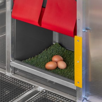 4 x 6 Redline Coop [Egg Box]
