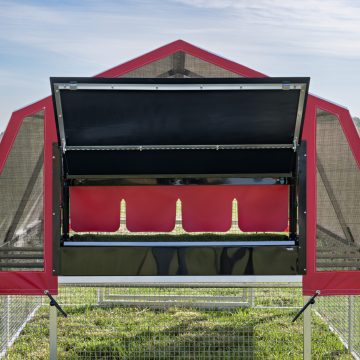 8 x 12 Redline Coop [Egg Box, Back, Laying]