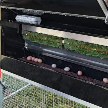 8 x 12 Redline Coop [Egg Box, Detail, Retrieval]